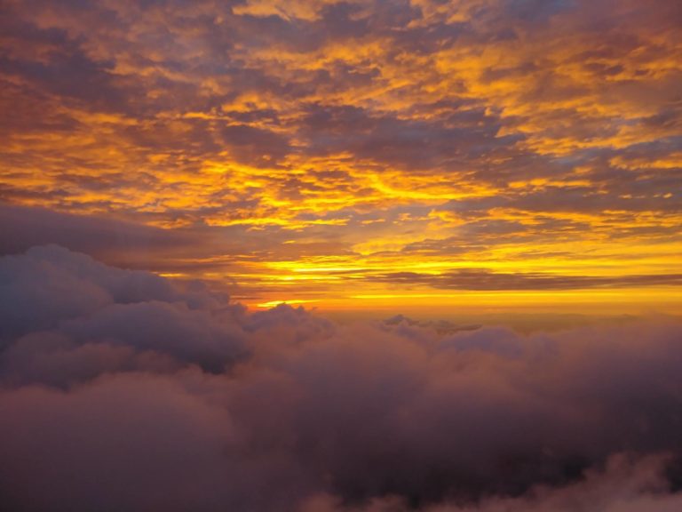 43011333 1457218861089774 6016322705710645248 o 768x576