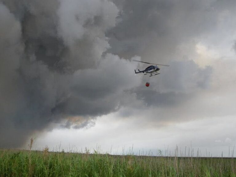 10371751 660936160647815 7060529911438119227 n 768x576