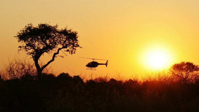 10620030 741345309273566 5368869281393289435 o 768x432