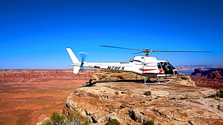 12662521 990791080995653 8477075025494947422 n 768x431