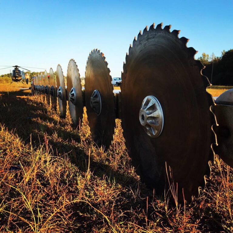 14702295 1214383481969744 1376752738962759358 n 768x768