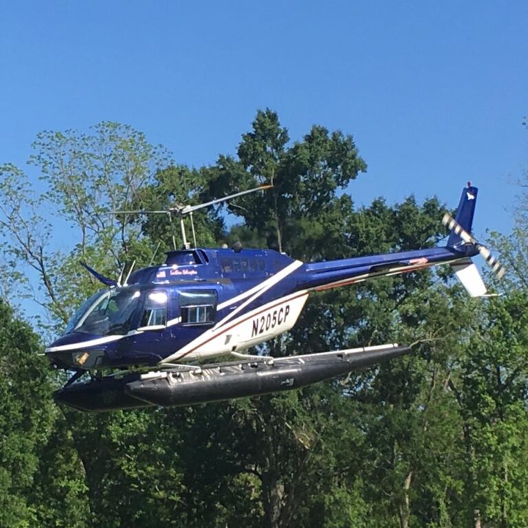 18056845 1460048354069921 7128253301692640221 n 768x768