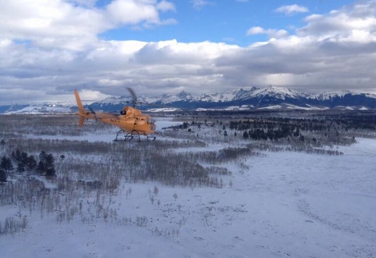 417691 437592119648888 1307031025 n 768x527